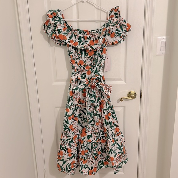 Rachel Parcell Printed Cotton Shirt Dress In Orange Blossom Cream NWT Size 0 - Picture 10 of 16
